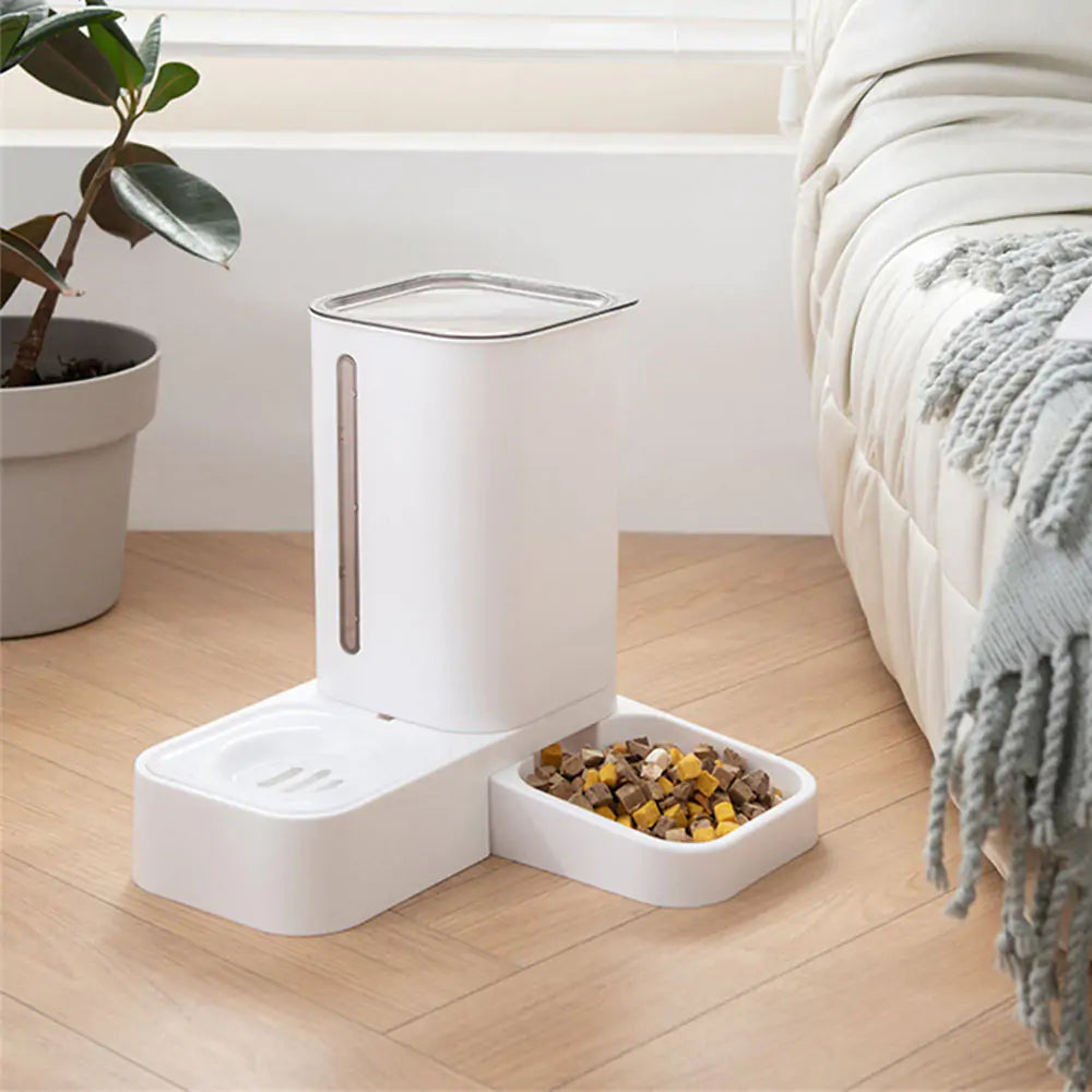 The Most Efficient Automatic Pet Feeder for Busy Pet Owners