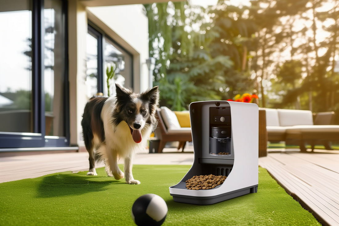 The Smart Petkit Feeder: The Ultimate Solution for Pet Owners