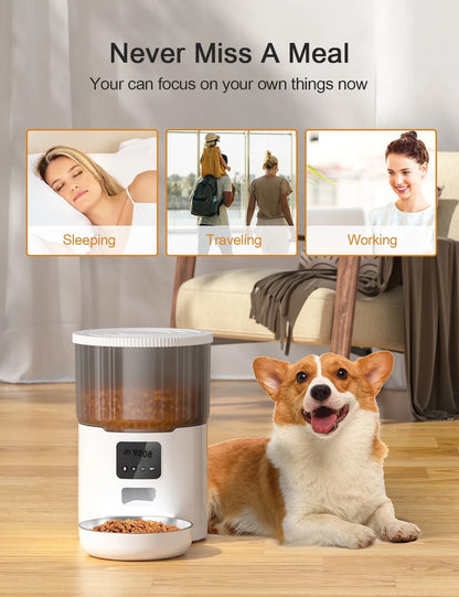 4L Smart Automatic Pet Feeder